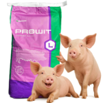 Koncentrat NUTRENA PROWIT L dla loch (25kg)