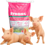 Koncentrat NUTRENA STRONG dla prosiąt (25kg)