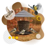 51Feed Słonecznik czarny 20kg karma dla ptaków - obrazek 4