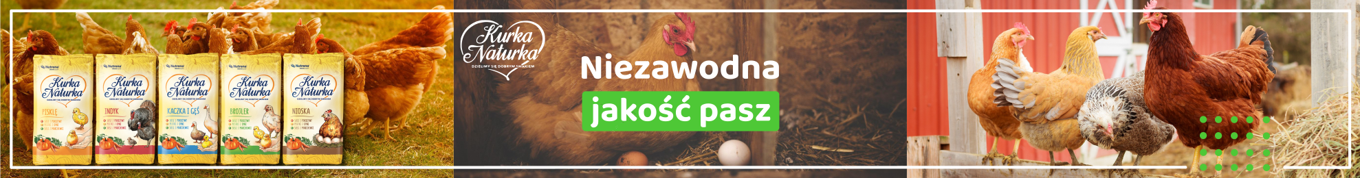 BANER KURKA NATURKA AGRIDO