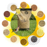 51Feed Karma dla ptaków 10kg ziarno do karmnika - obrazek 3