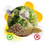 51Feed Karma dla ptaków 10kg ziarno do karmnika - obrazek 7