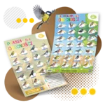 51Feed Słonecznik czarny 10kg karma dla ptaków - obrazek 5