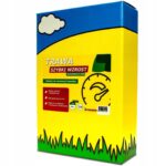 ARPON TRAWA SZYBKI WZROST RENOWACYJNA NASIONA 1KG 40M2 - obrazek 2
