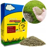 ARPON TRAWA SZYBKI WZROST RENOWACYJNA NASIONA 1KG 40M2