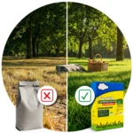 ARPON TRAWA CIEMNOZIELONA PARKOWA CIENIOLUBNA 1KG 40M2 - obrazek 3