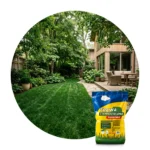 ARPON TRAWA NASIONA 5kg CIEMNOZIELONA 200m2 - obrazek 8