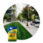 ARPON TRAWA NASIONA 5kg CIEMNOZIELONA 200m2 - obrazek 9