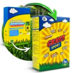 ARPON TRAWA SPORTOWA BOISKOWA ODPORNA NA DEPTANIE 1KG 40M2 - obrazek 5