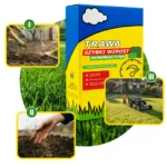 ARPON TRAWA SZYBKI WZROST RENOWACYJNA NASIONA 1KG 40M2 - obrazek 2