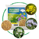 Mieszanka poplonowa – gorczyca, rzodkiew, facelia 5kg - obrazek 4