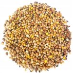 Mieszanka poplonowa – gorczyca, rzodkiew, facelia 5kg - obrazek 2