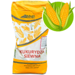KUKURYDZA PODLASIAK NASIONA NA KISZONKĘ BARDZO WYSOKA ODMIANA FAO260 50TYS