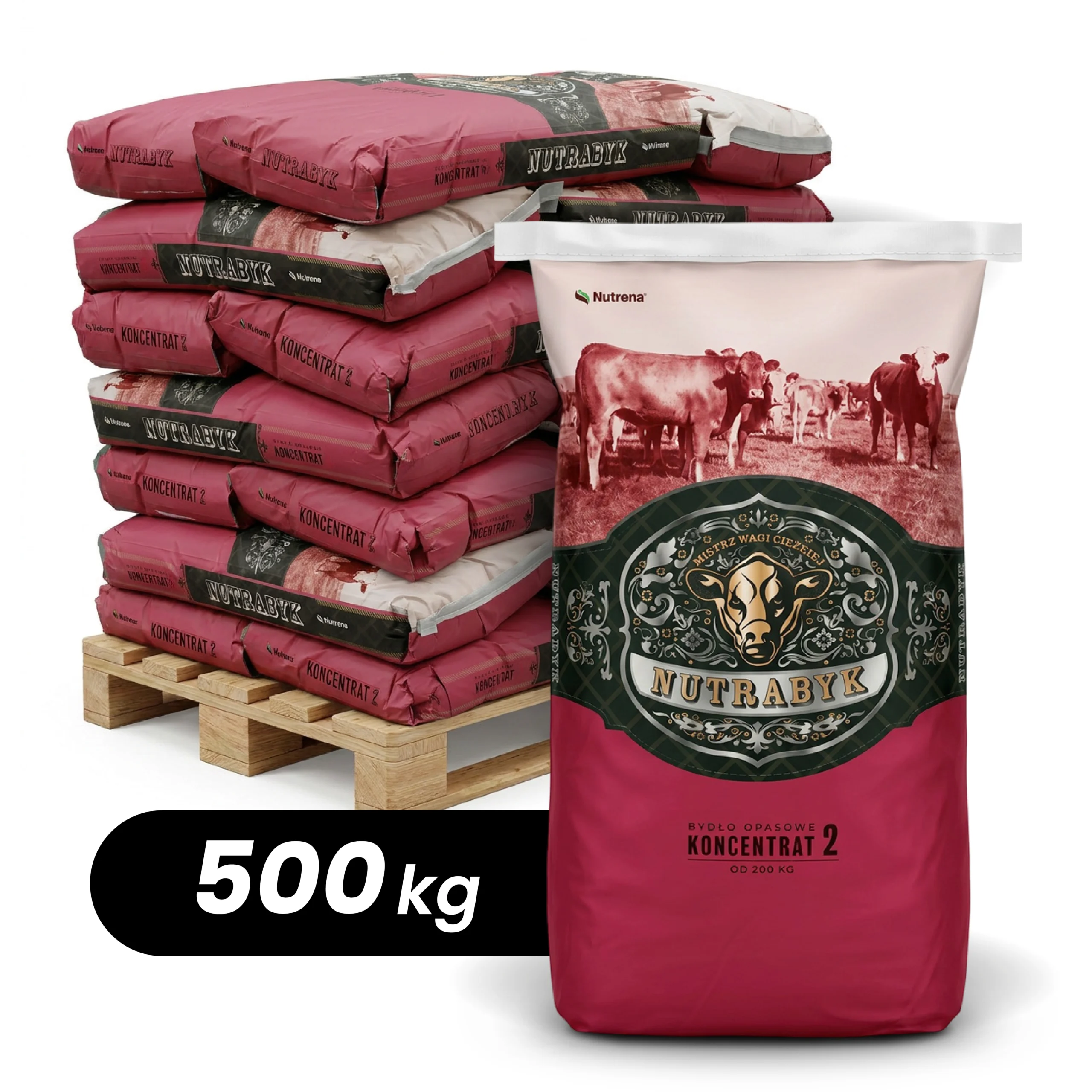 PASZE-12 20x Koncentrat dla bydła 41% NUTRABYK OPAS 2 (500kg) PALETA - obrazek 1