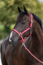 KERBL Kantar dla koni Hippo rozmiar COB - obrazek 2