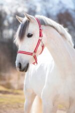 KERBL Kantar dla koni Hippo rozmiar COB - obrazek 3