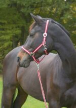 KERBL Kantar dla koni Hippo rozmiar COB - obrazek 4