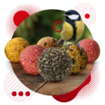 51Feed Kule tłuszczowe PREMIUM dla ptaków 50x90g - obrazek 3