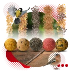 51Feed Kule tłuszczowe PREMIUM dla ptaków 50x90g - obrazek 2