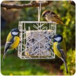 51Feed Blok tłuszczowy dla ptaków 300g - obrazek 4