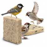 51Feed Blok tłuszczowy dla ptaków 300g - obrazek 2