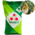 KUKURYDZA DMS 3015 F1 80 tys. nasion