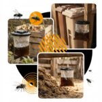 ZeroPest PUŁAPKA NA MUCHY Z WABIKIEM BLACK HOLE FLY TRAP - obrazek 7