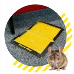 ZeroPest LEP NA MYSZY 24x16,7cm - obrazek 7