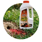 ZeroPest GRANULAT NA MRÓWKI MAX 1KG - obrazek 5