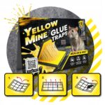 ZeroPest LEP NA MYSZY 24x16,7cm - obrazek 6