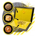 ZeroPest LEP NA MYSZY 24x16,7cm - obrazek 5