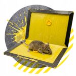 ZeroPest LEP NA MYSZY 24x16,7cm - obrazek 8