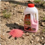 ZeroPest GRANULAT NA MRÓWKI MAX 1KG - obrazek 6